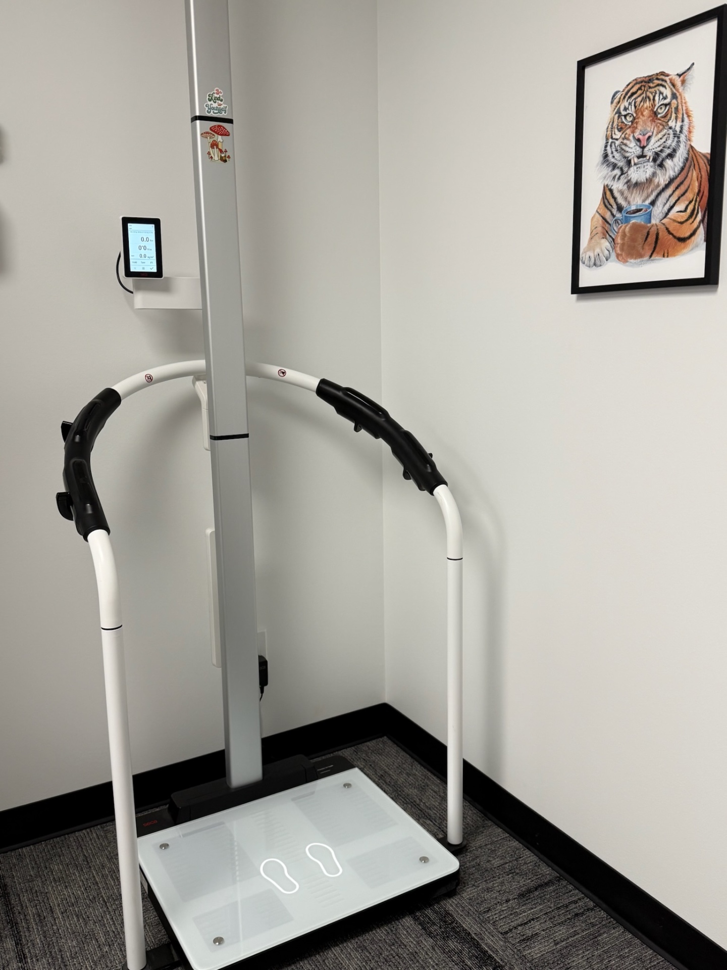 Medical-grade SECA body composition analyzer at Storm Wellness Northwest