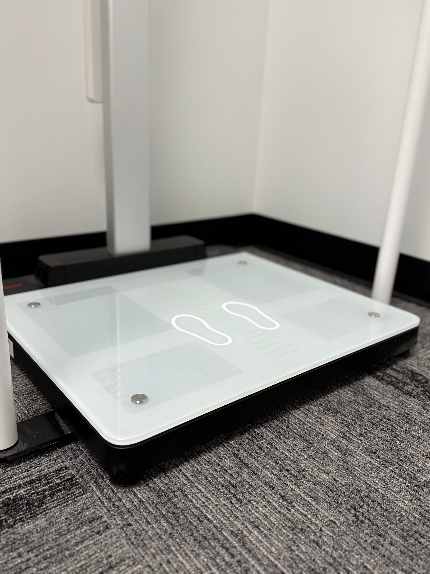 SECA 554 Body Composition Analyzer used during visits at Storm Wellness Northwest