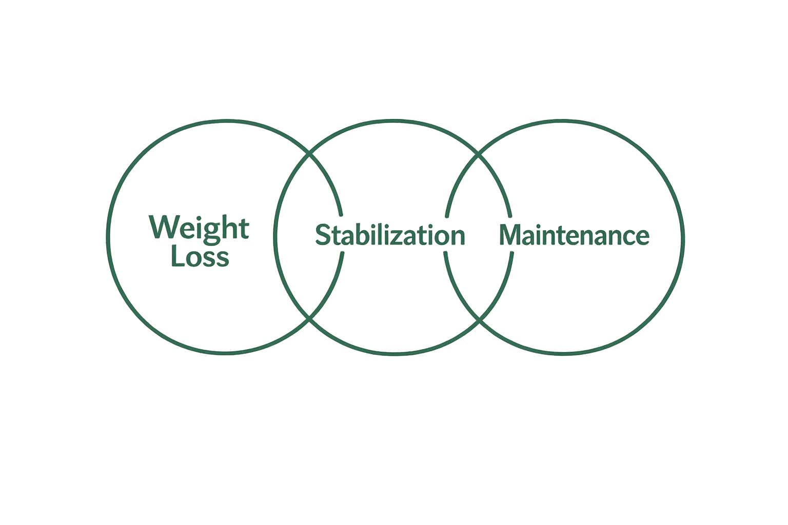 Diagram showing the overlapping phases of weight care: Weight Loss, Stabilization, and Maintenance