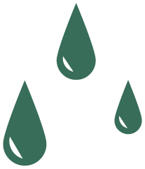 Storm Wellness Northwest raindrop mark